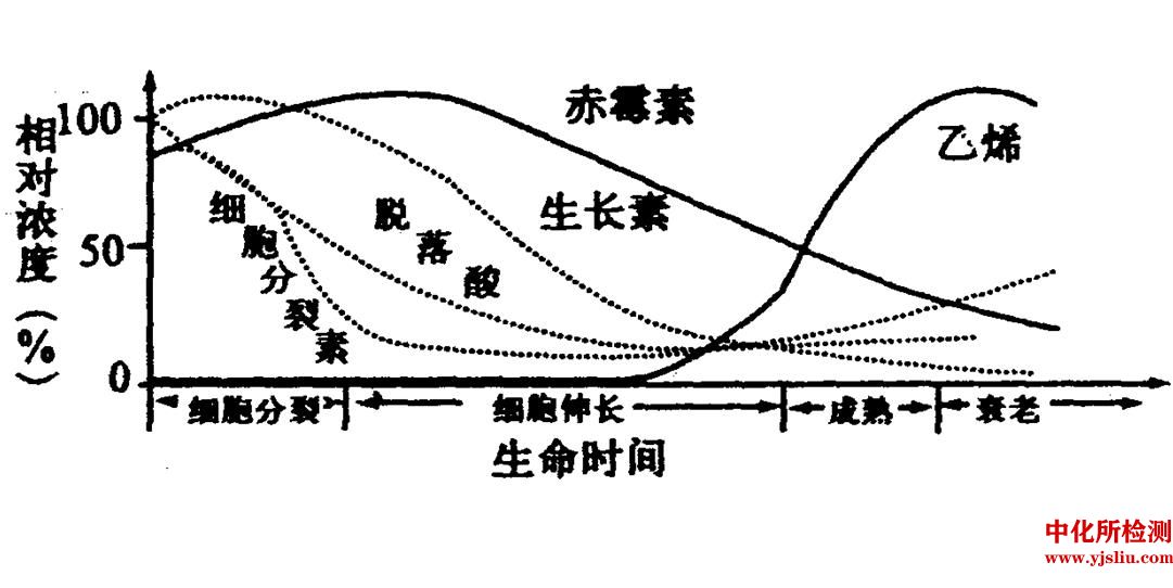 植物激素测定