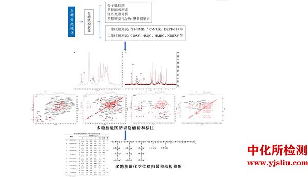 多糖结构核磁图谱分析